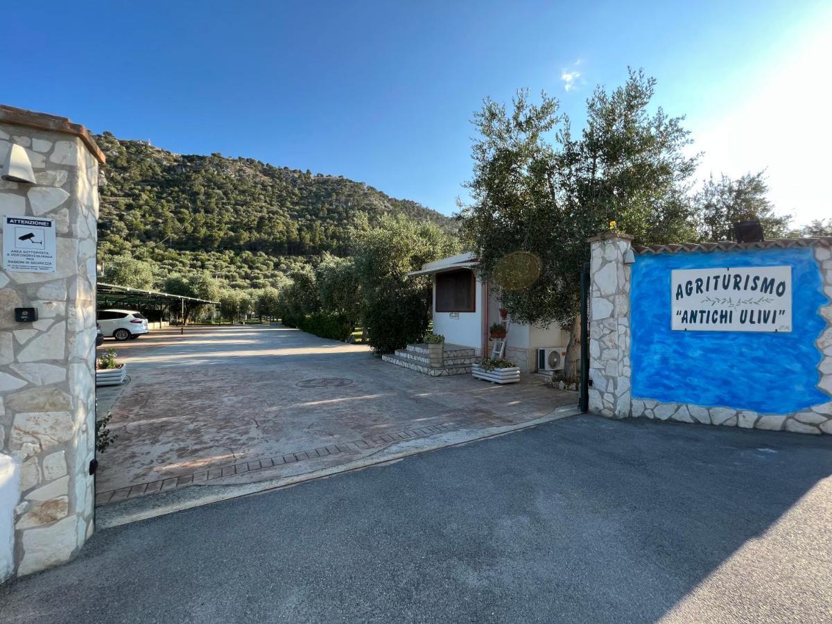 Agriturismo Antichi Ulivi Βίλα Mattinata Εξωτερικό φωτογραφία