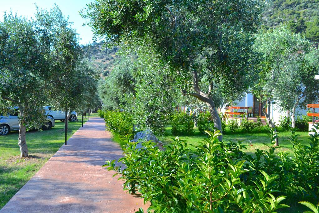 Agriturismo Antichi Ulivi Βίλα Mattinata Εξωτερικό φωτογραφία