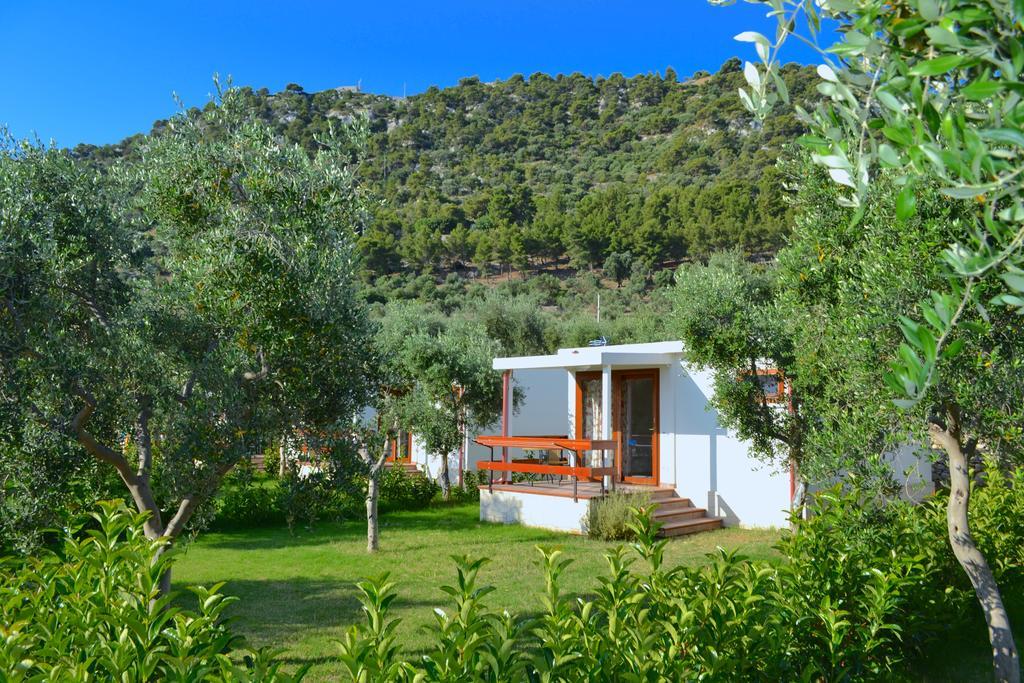 Agriturismo Antichi Ulivi Βίλα Mattinata Εξωτερικό φωτογραφία